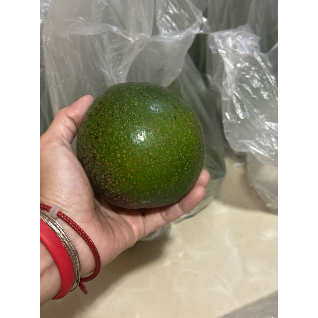 

alpukat miki 1 kg isi 3