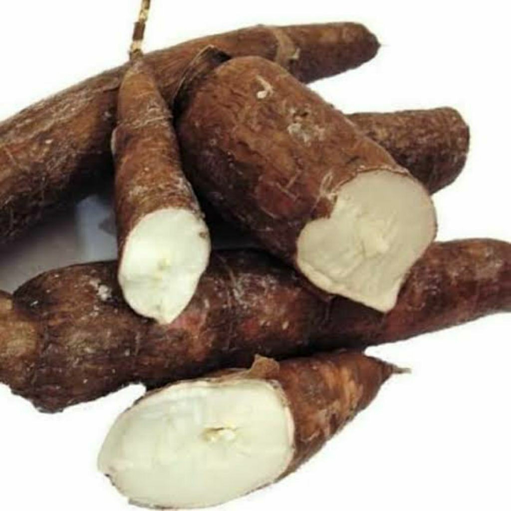 

Termurah Singkong 1kg