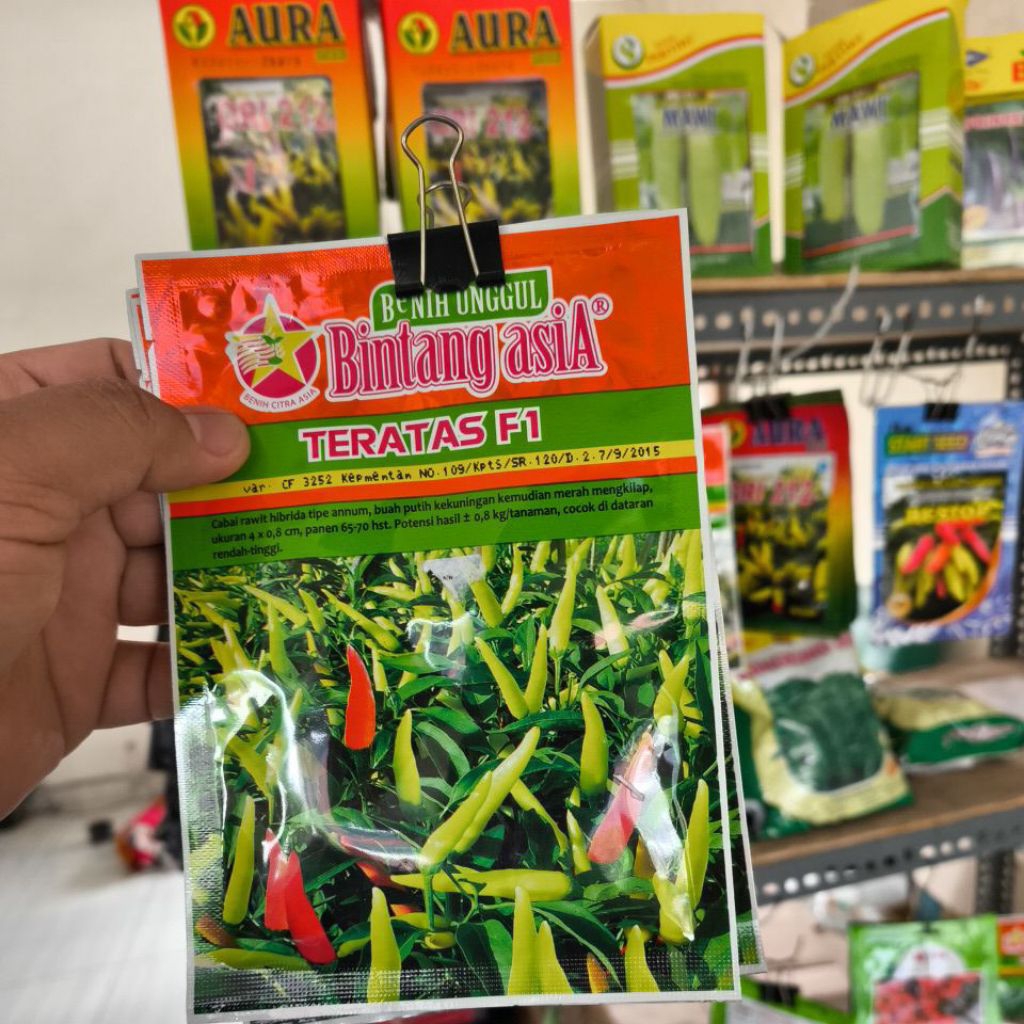 

CABE RAWIT TERATAS F1 (BINTANG ASIA)