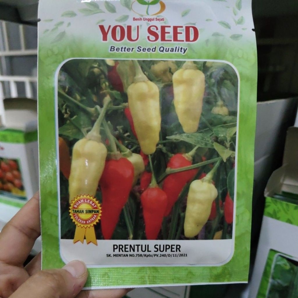 Benih cabe rawit PRENTUL SUPER 10 gram dari you seed