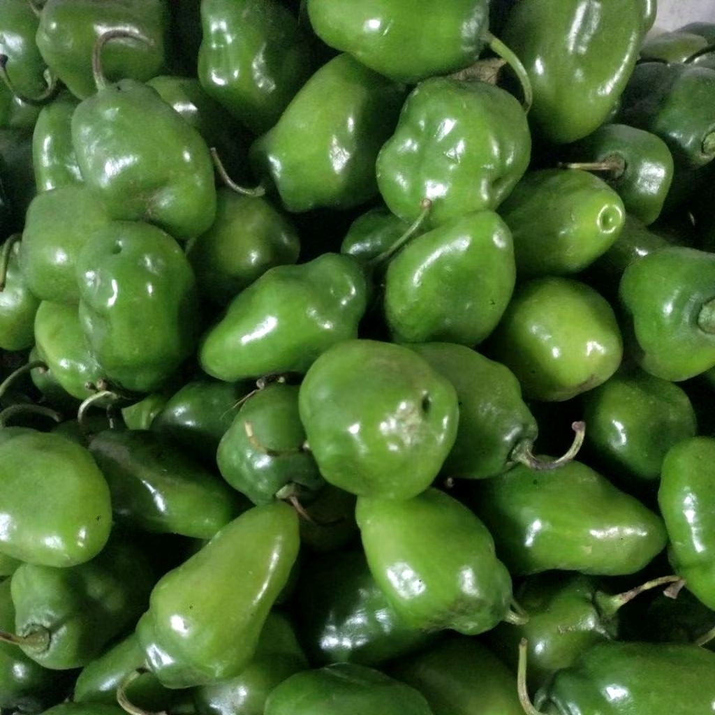 

cabe gendot fresh 1/4kg