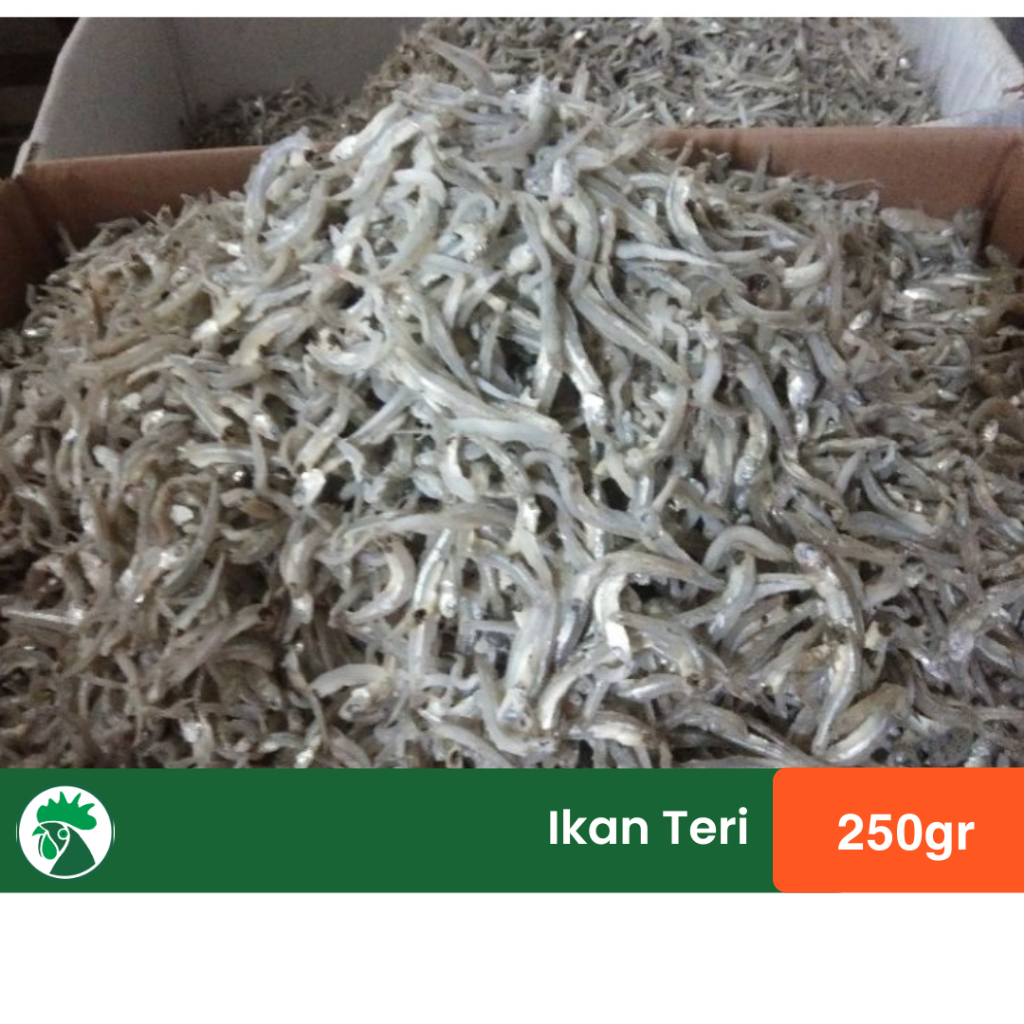 

Ikan Teri Jengki Asin | Teri Kacang