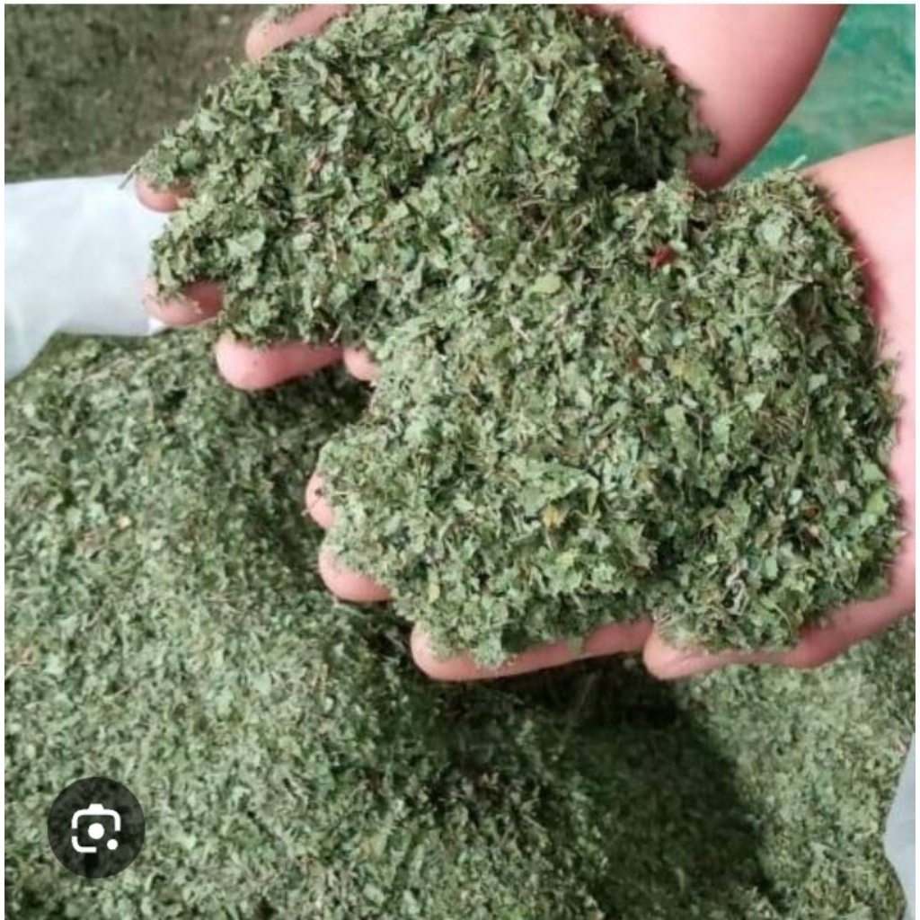 

dry tea leaves purlîîê 1kg