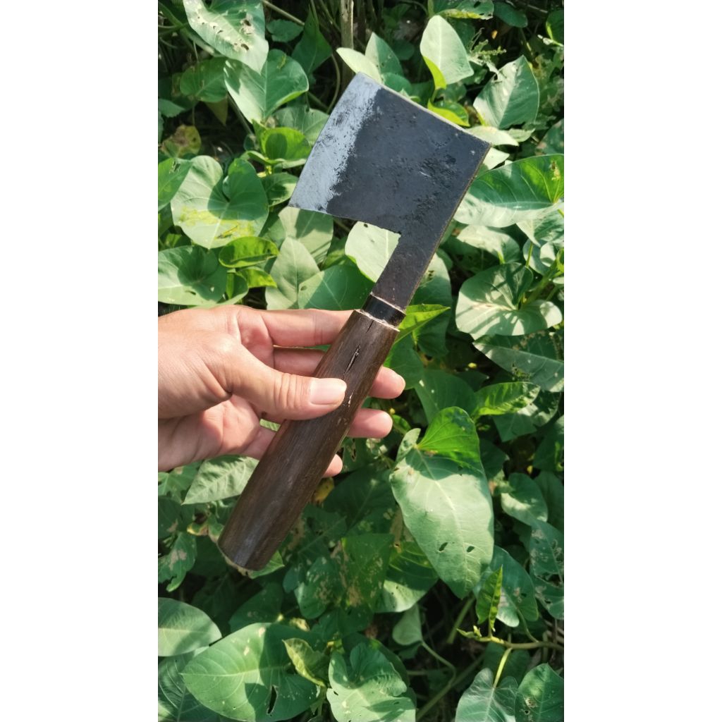 baja per mobil kupas batok kelapa pisau