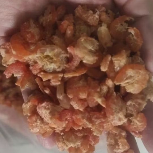 

Udang Kering /Ebi Kering Besar Super Segar dan Fresh 125 Gram