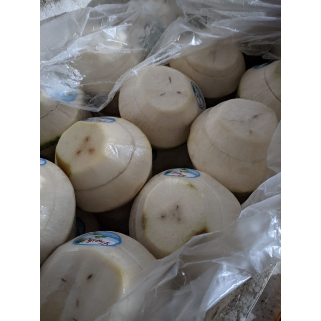 

DEGAN FRESH JELLY MEDIUM