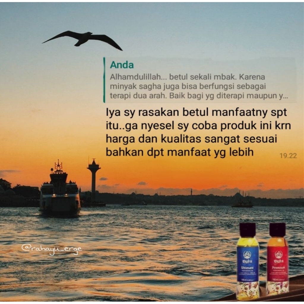 MINYAK SAGHA SAMMO SAGHA SAPPO Original BPOM Sagha Oil Sammo Ultimate Sagha Sappo Premium plus bonus