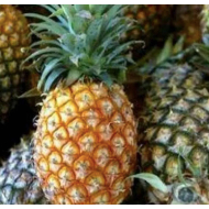 

Buah Nenas Medan Daily Market