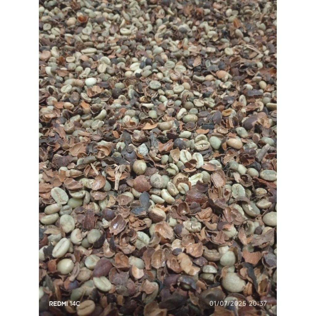

PIXEL KOPI ROBUSTA 45