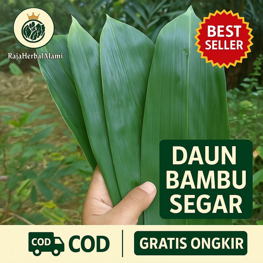 

Daun Bambu Segar Per 100 Lembar DI Petik Dadakan | COD