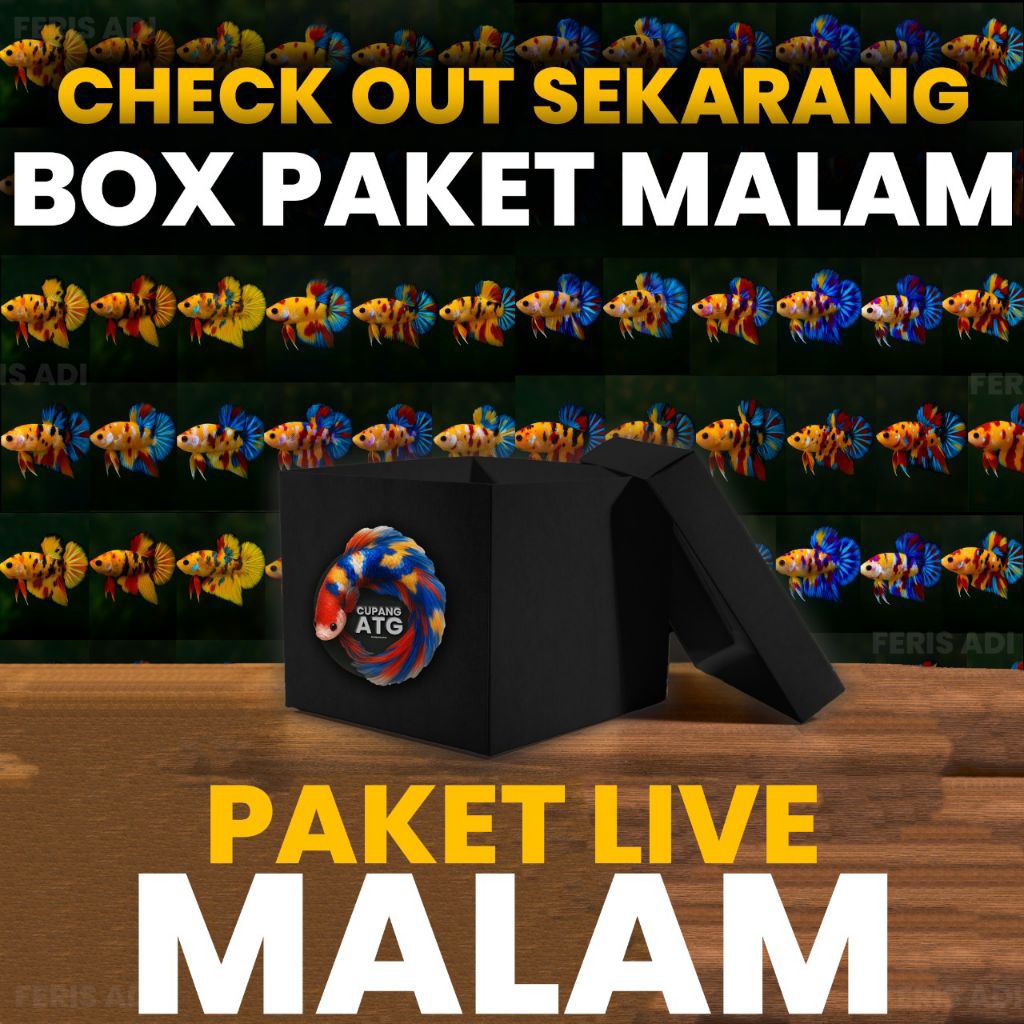 

BOX PAKING WARNA HITAM