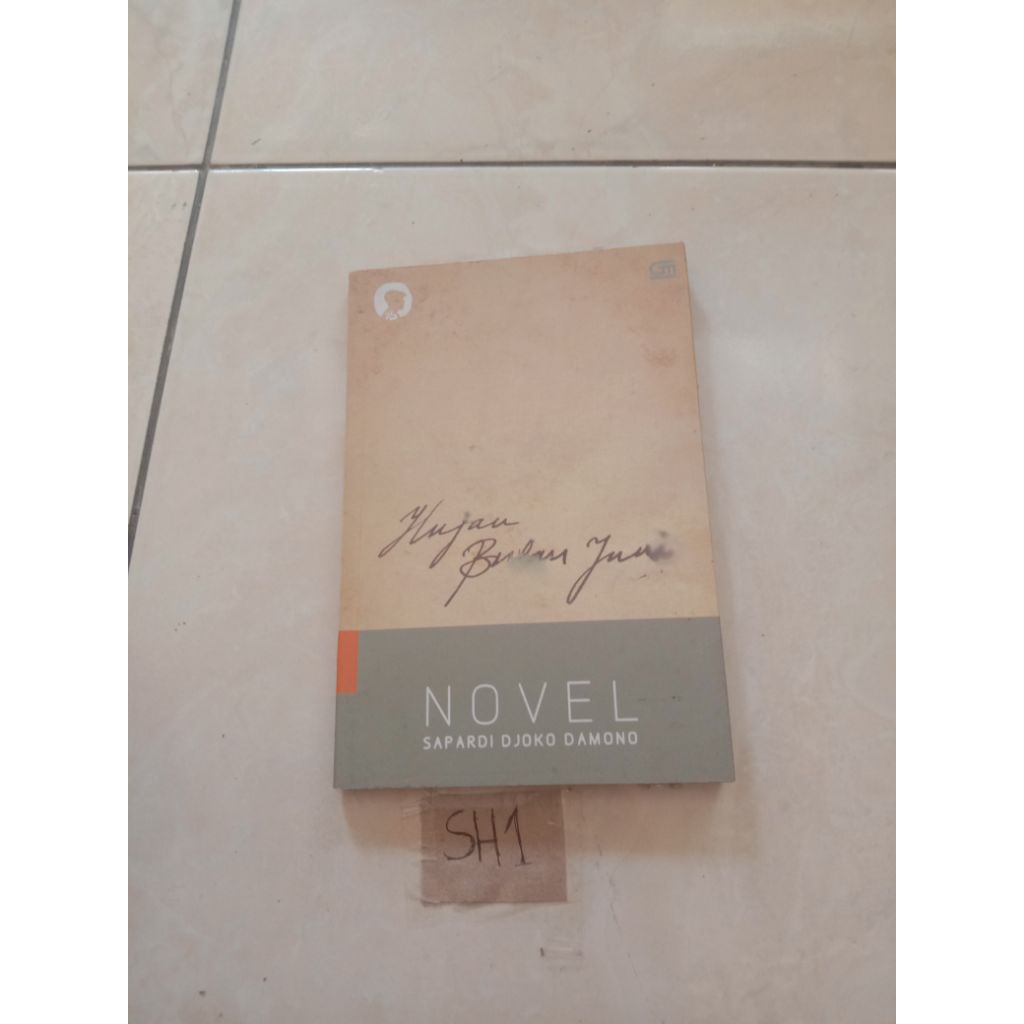 buku hujan bulan Juni