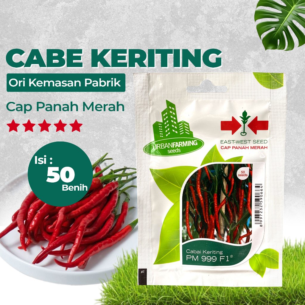 Benih Bibit Cabe Keriting Cabai 50 Benih PM 999 F1 Cap Panah Merah PG KDR