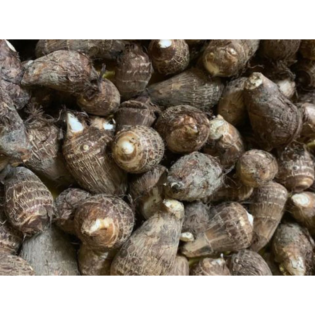 

umbi talas pulen 1 kg