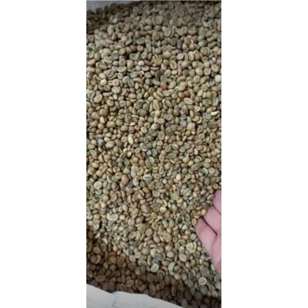 

Arabica Bean Grade A