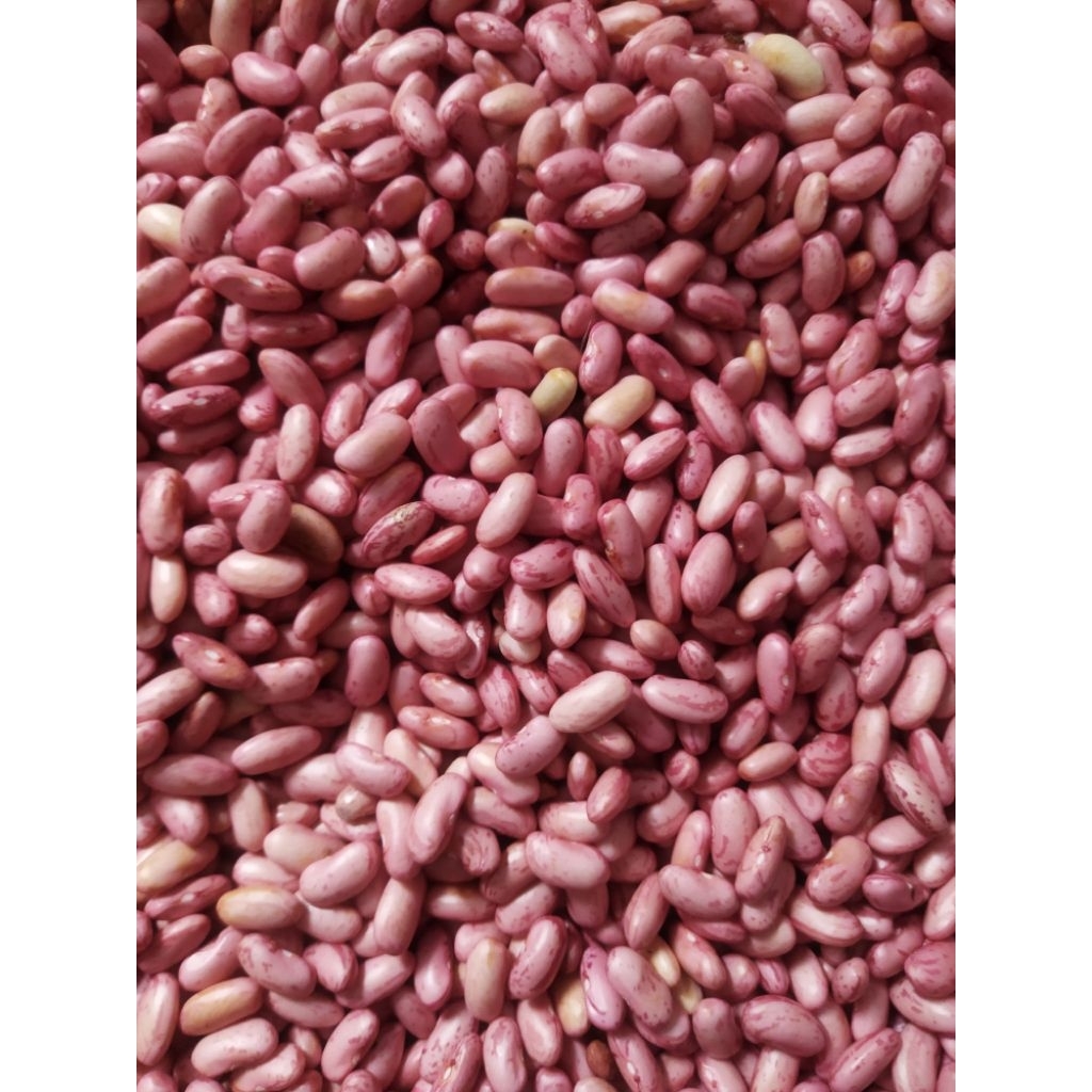 

Kacang Merah Murah per 1 kg free packing kardus