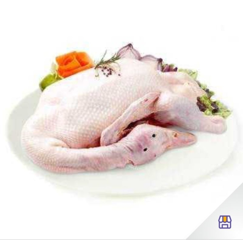 

Bebek Peking Fresh from Kandang | Bebek Potong Segar Premium | 2.5 kg/ekor