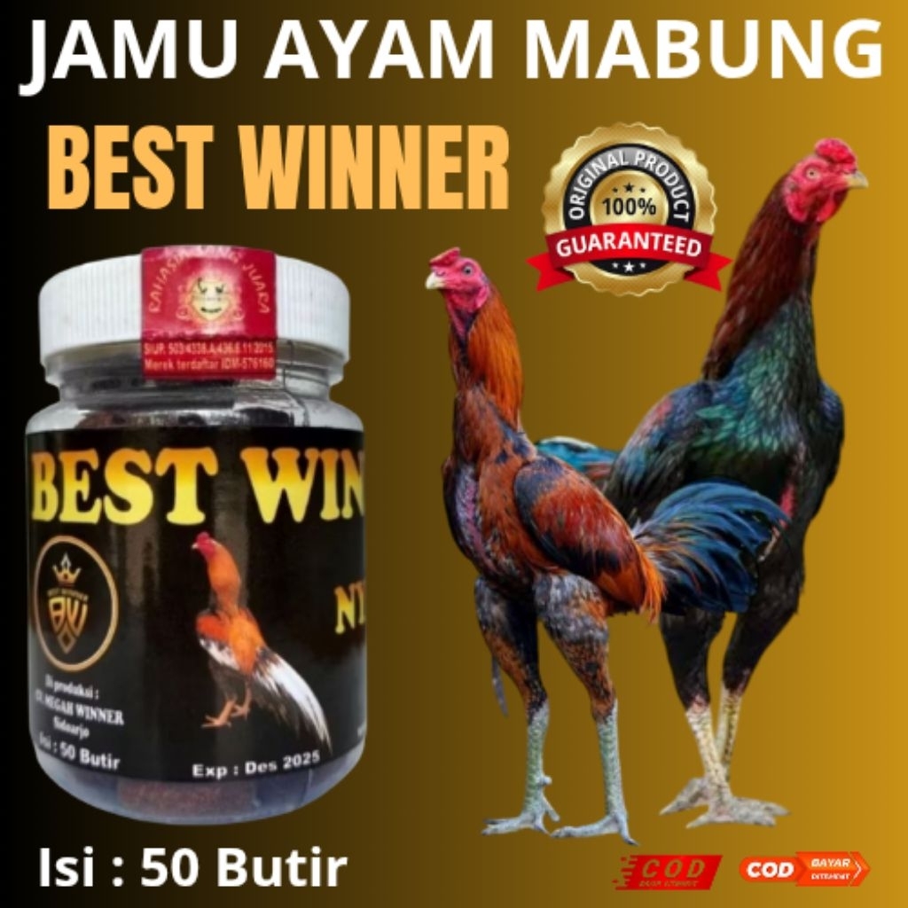 JAMU UNTUK AYAM MABUNG " BEST WINNER"
