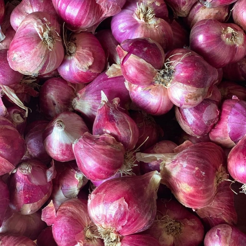 

Bawang Merah Brebes 1kg Terlaris Bawang Merah Super Bawang Merah Terlaris 1KG