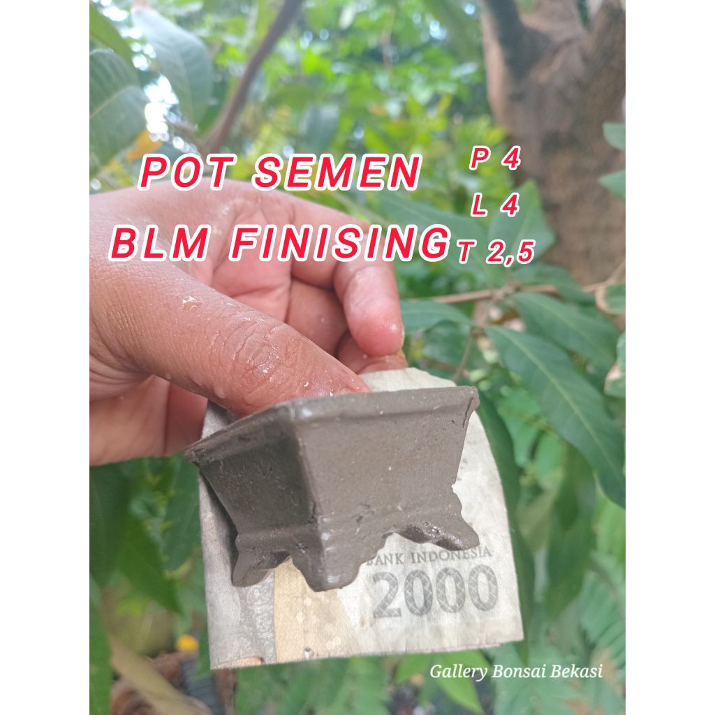 pot bonsai mini kotak ( blm finising )