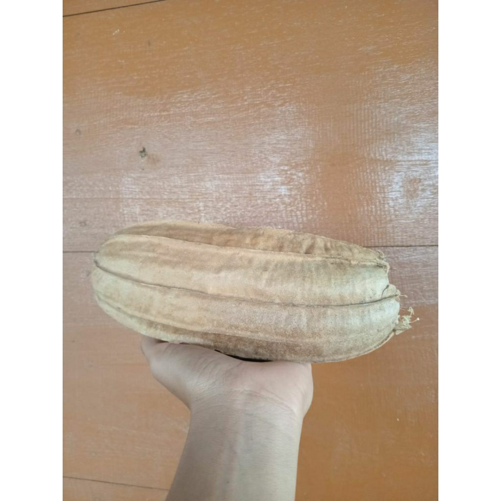 

kulit oyong/gambas