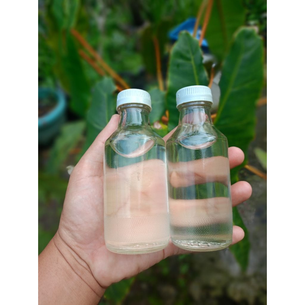 

minyak kelapa tunggal asli lawu