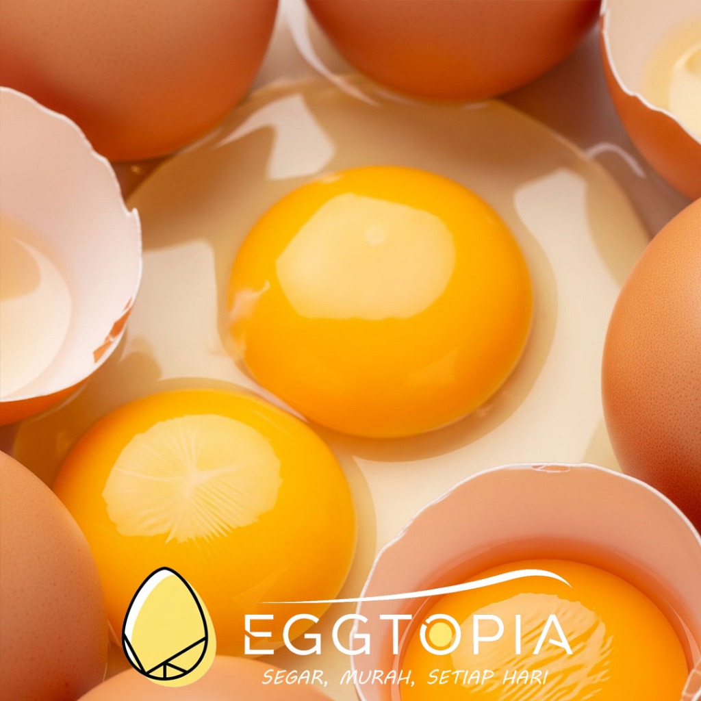 

KIRIM INSTAN Telur Ayam Negri Lokal Premium 1kg Fresh Setiap Hari