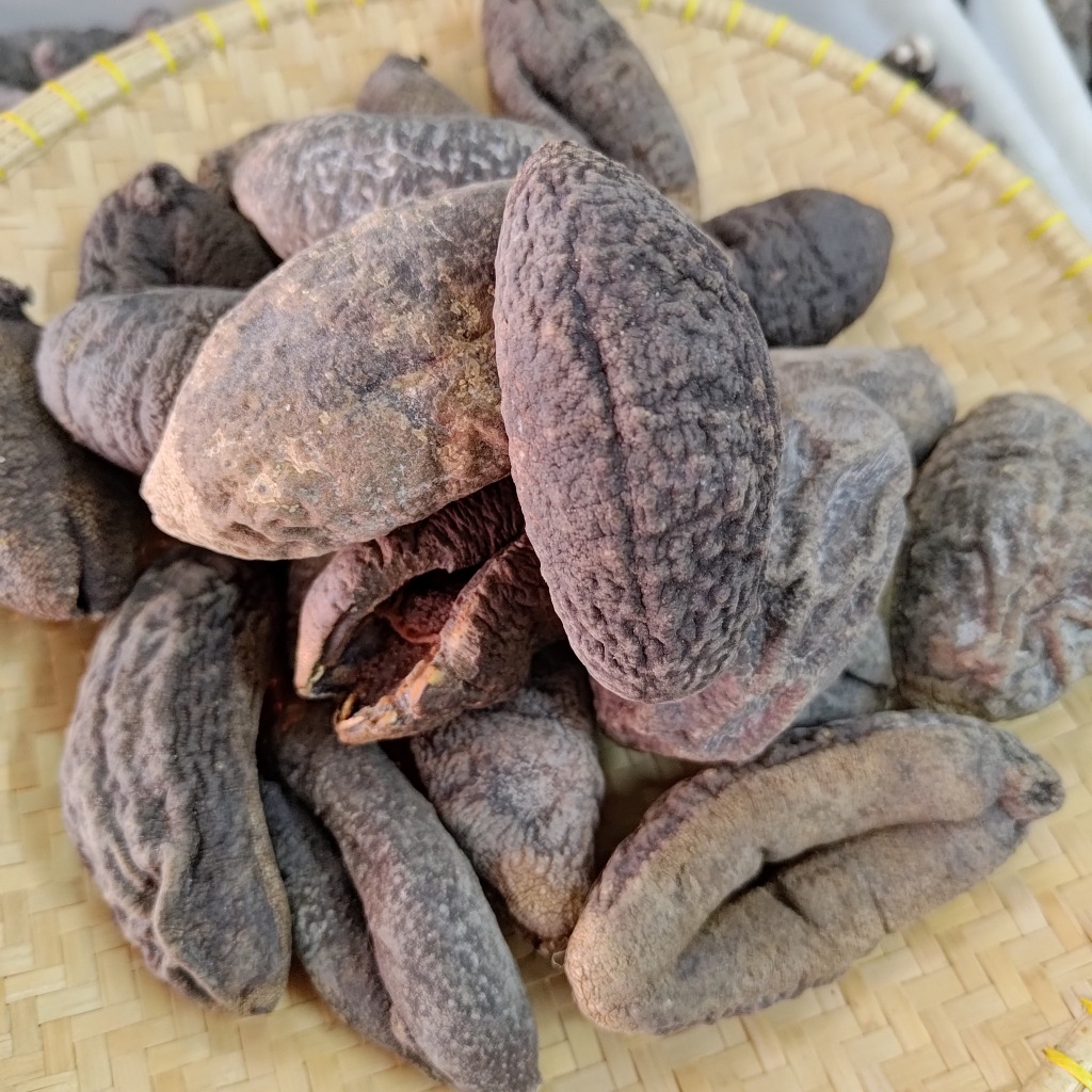 

Kikusem 100gr Teripang Kiku / Haisim Hoisem Haisom Kering/ Tripang Kering