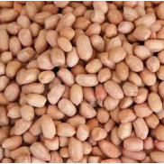 

Kacang Tanah Mentah Medan Daily Market