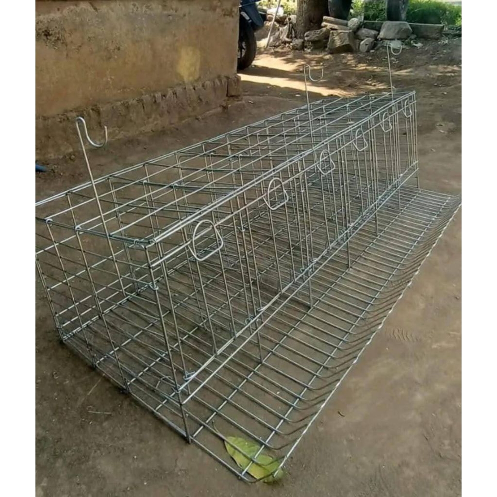 kandang galvanis ayam petelur pintu 6 isi 6