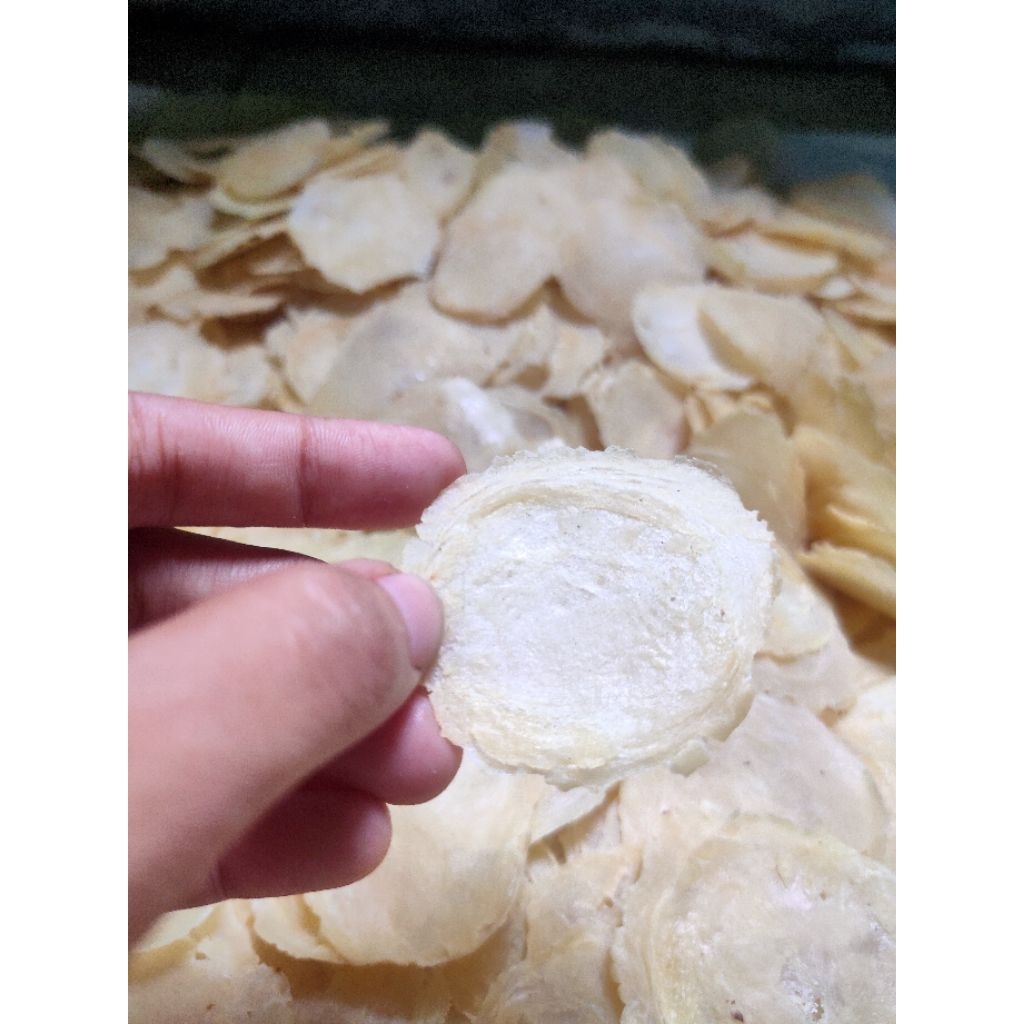 

Emping Melinjo Mentah Khas kebumen 1/2 kg