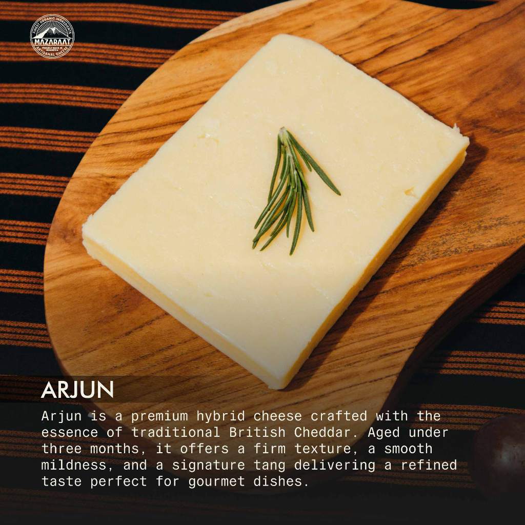 MAZARAAT Keju Arjun (British Cheddar Organik)