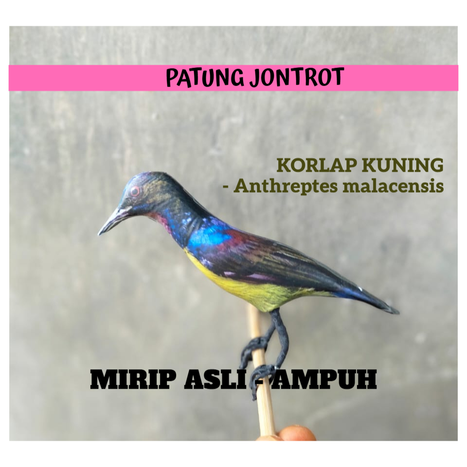 PATUNG JONTROT BURUNG KOLIBRI/KORLAP KUNING - JONTROT BURUNG KOLIBRI/KORLAP KUNING