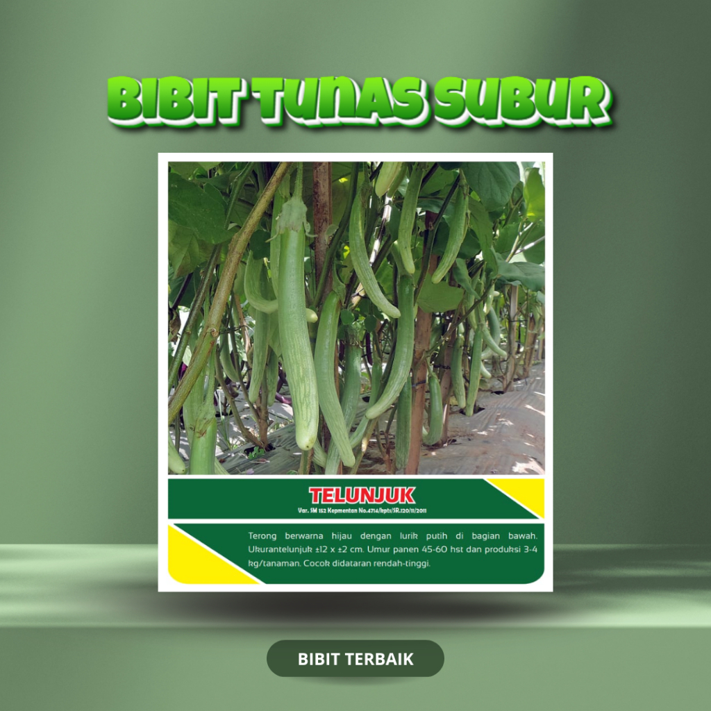 Benih Bibit Terong Telunjuk 10g– Tunas Subur