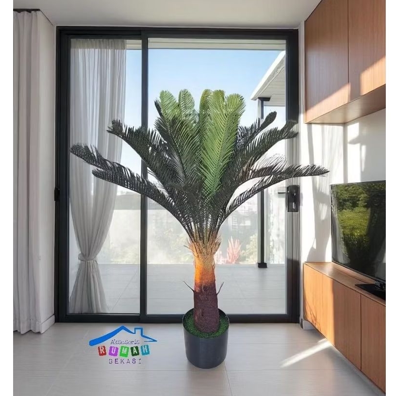 POHON SIKAS ARTIFICIAL / SIKAS PLASTIK BAHAN LATEX TINGGI 85 CM DENGAN POT