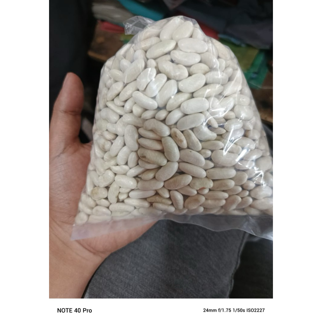 Benih bibit buncis logawa isi 500 gram