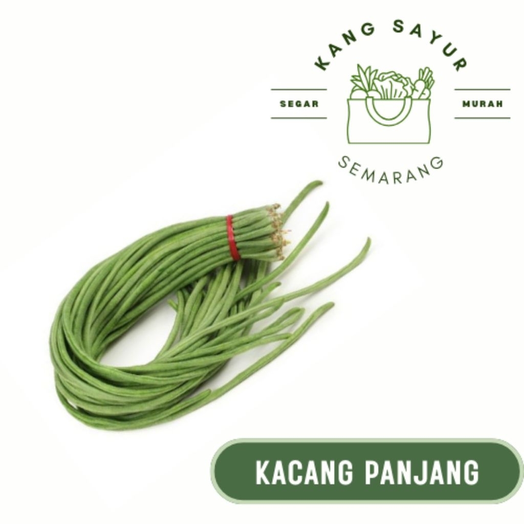 

Kacang Panjang 1 ikat - Sayur Segar Online Semarang