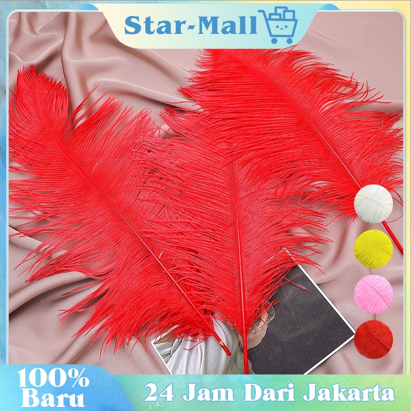 20-25 Cm Bulu Warna Warni / Ostrich Feather / Untuk Home Decoration Rangkaian Bunga Aksesoris