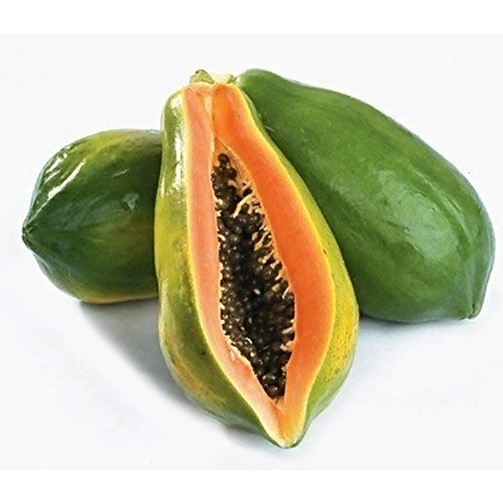 Benih Unggul Pepaya Bangkok F1 / Bibit Pepaya Bangkok Super Jumbo 5 Bibit Benih Pepaya Bangkok Super