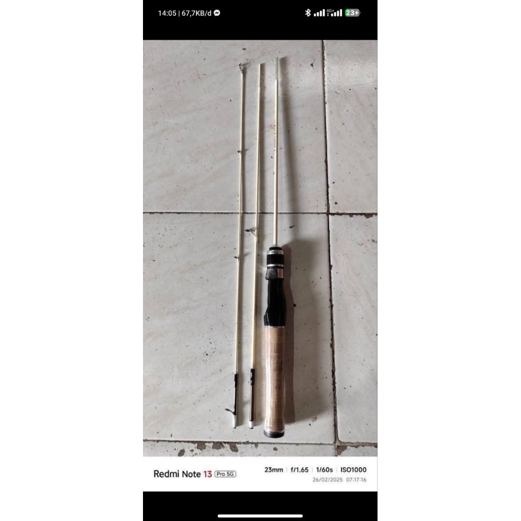 Oregon Hampili Custom