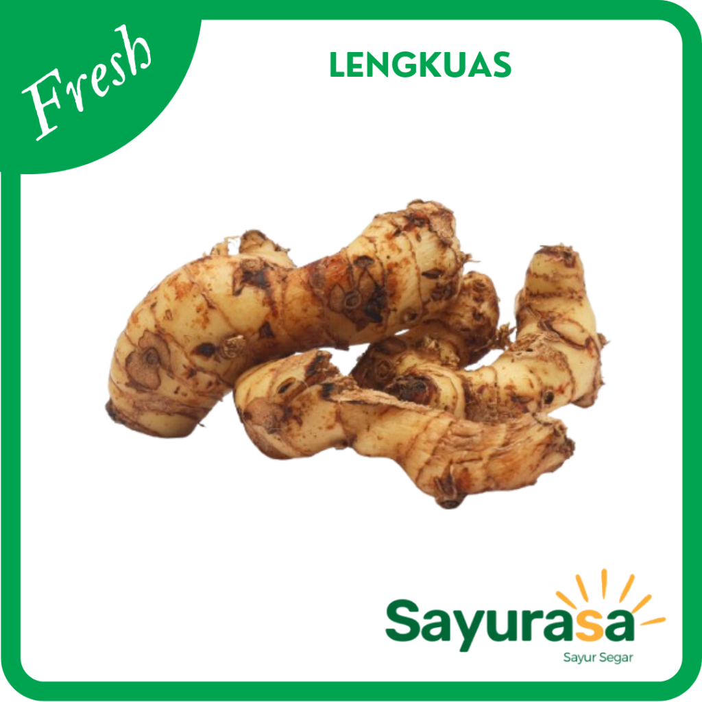 

Lengkuas / Laos 500 gram (Bumbu Dapur)
