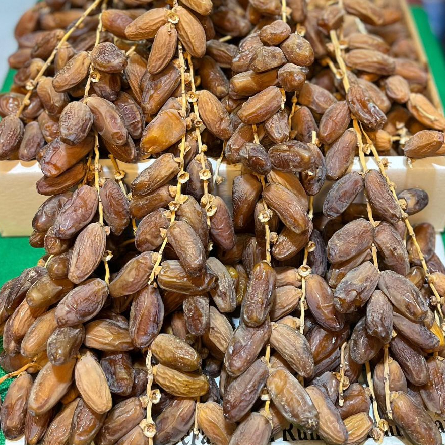 

Kurma tunisia tangkai/palm tangkai ukuran 1kg