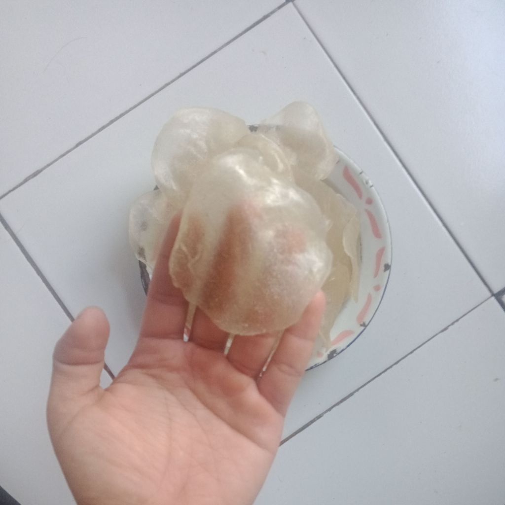 

opak singkong mentah - 1kg