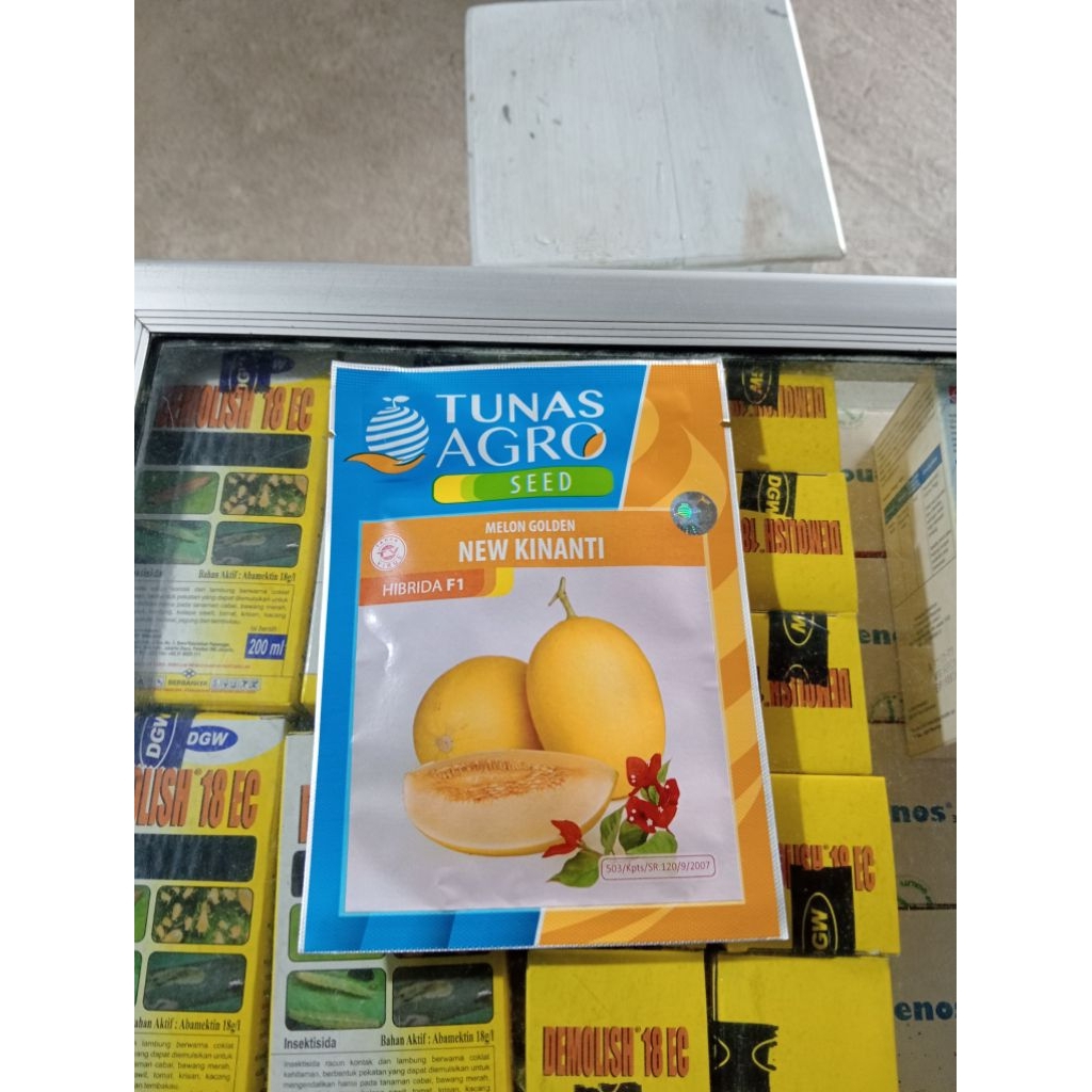 Benih Melon New Kinanti