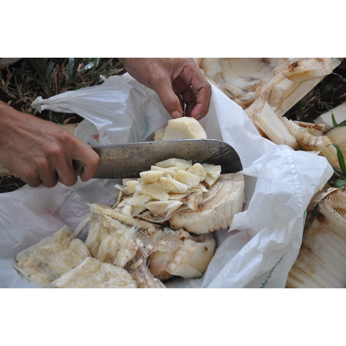 

Bahan Kripik Bonggol Pisang segar Kaya Manfaat