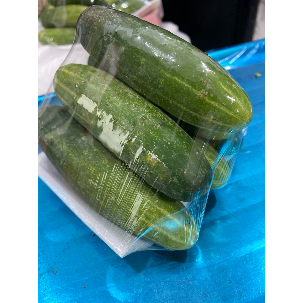 

timun baby 500gr