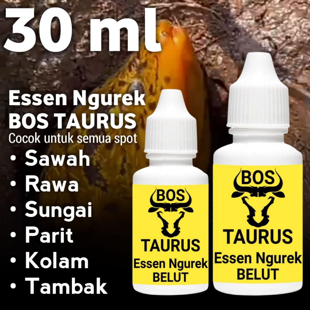 Essen mancing belut sungai bos taurus