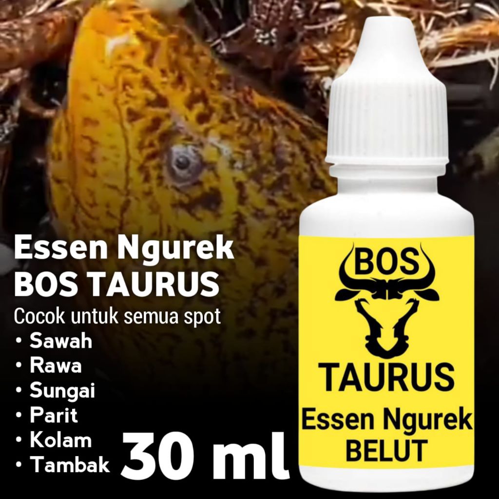 Essen ngurek belut bos Taurus