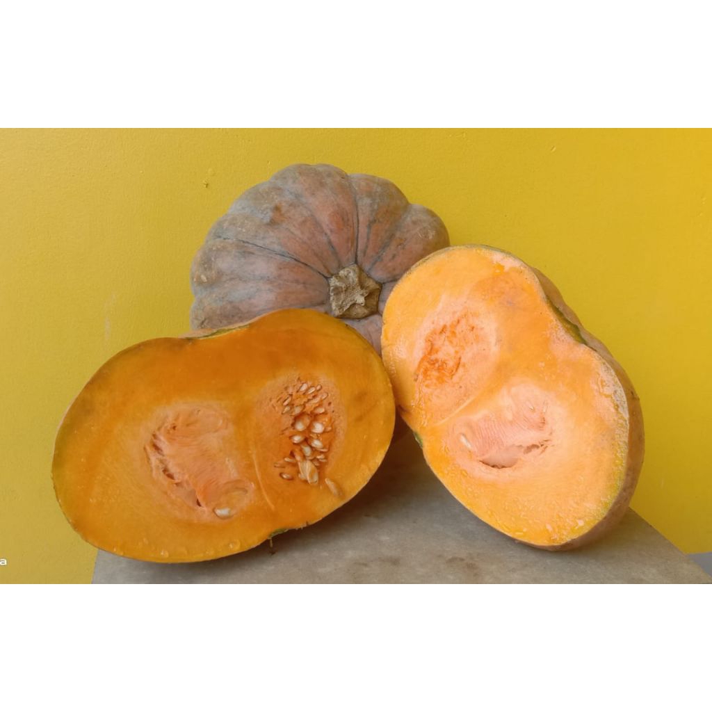 

Waluh atau labu fresh berkualitas tinggi 2kg 4kg