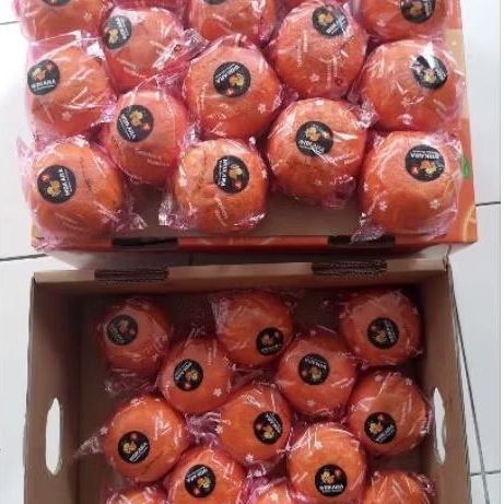 

Buah jeruk wokara manis juicy banyak air gift box-+ 5 kg